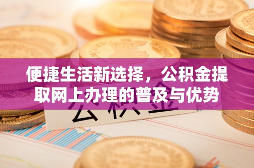 岷县便捷生活新选择，公积金提取网上办理的普及与优势