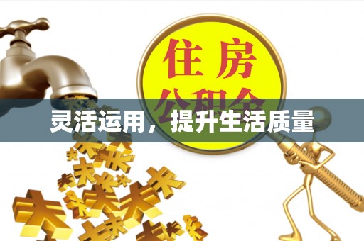 岷县灵活运用，提升生活质量