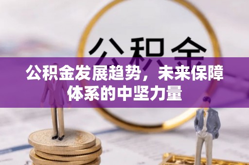 岷县公积金发展趋势，未来保障体系的中坚力量