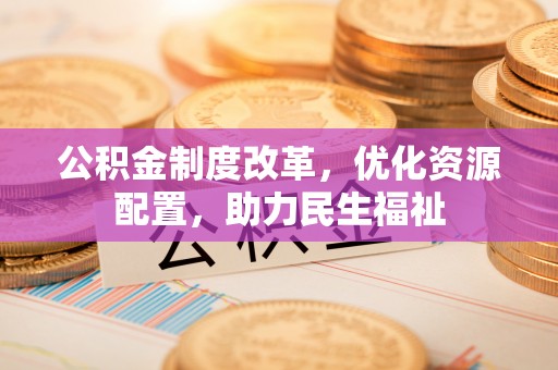 岷县公积金制度改革，优化资源配置，助力民生福祉