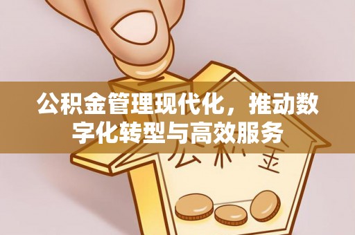岷县公积金管理现代化，推动数字化转型与高效服务