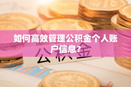 岷县如何高效管理公积金个人账户信息？