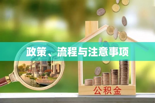 岷县政策、流程与注意事项