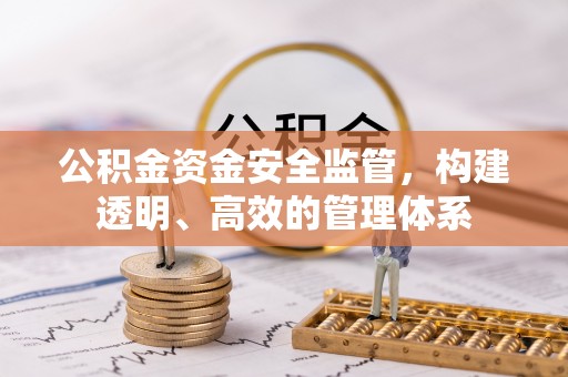 岷县公积金资金安全监管，构建透明、高效的管理体系