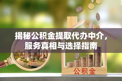 岷县揭秘公积金提取代办中介，服务真相与选择指南